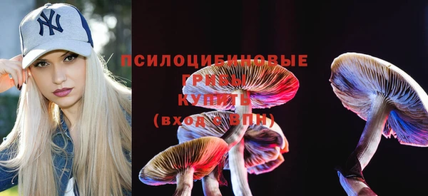 стаф Белоозёрский